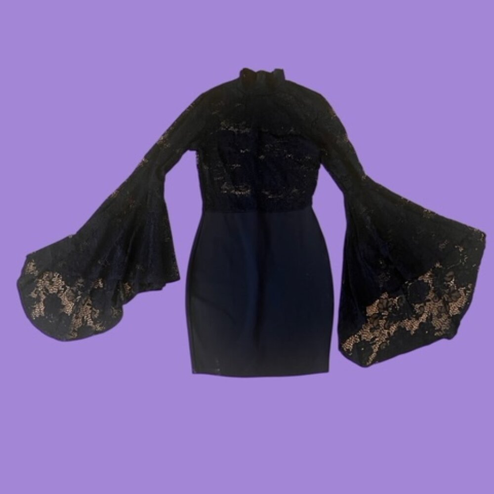 WINDSOR Long Sleeve Lace Mini Dress - Picture 3 of 9